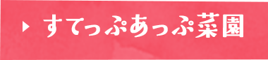 すてっぷあっぷ菜園