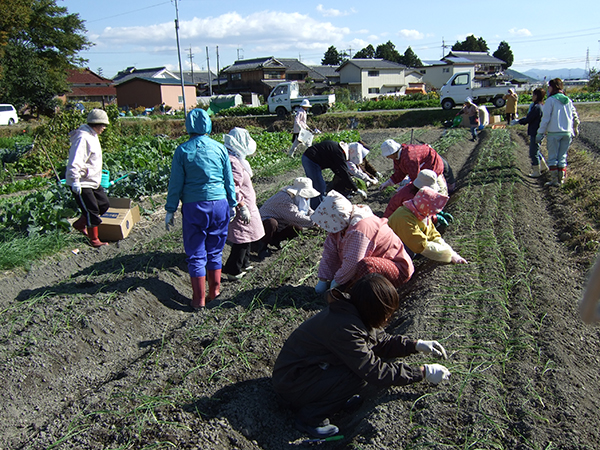 女性部　地産地消倶楽部